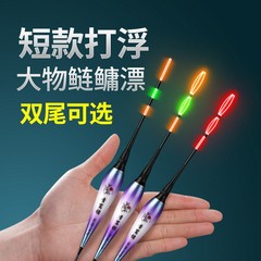 短い明るい磯釣りフロート、浅い水の電子フロート、昼夜両用バイトフック、色が変わるフナフロート、ブラックヒットフロート、夜光フロート
