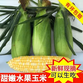 方便面类;膨化;传统糕点