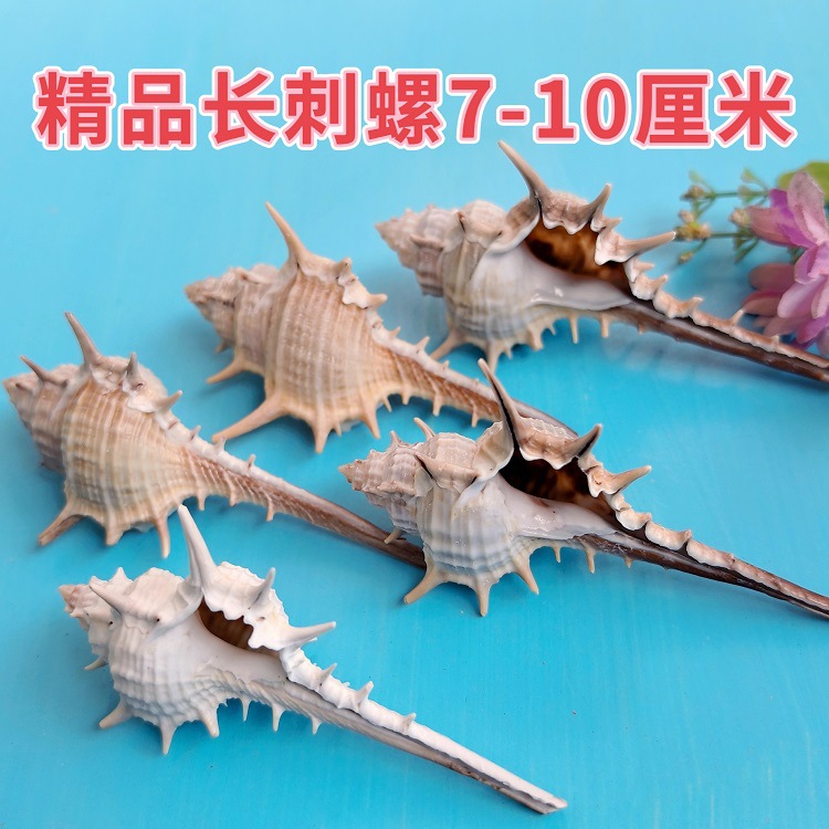 MEITU_20250403_091403704