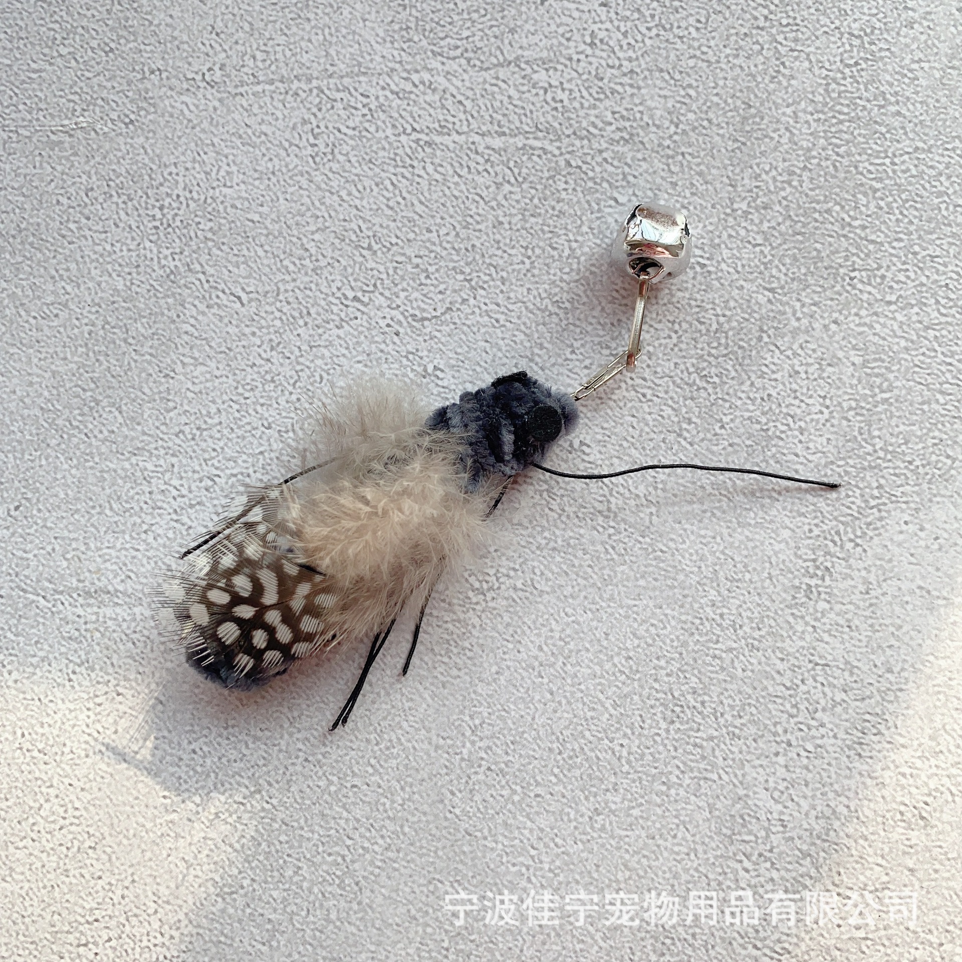 IMG_5792(20221209-035256)