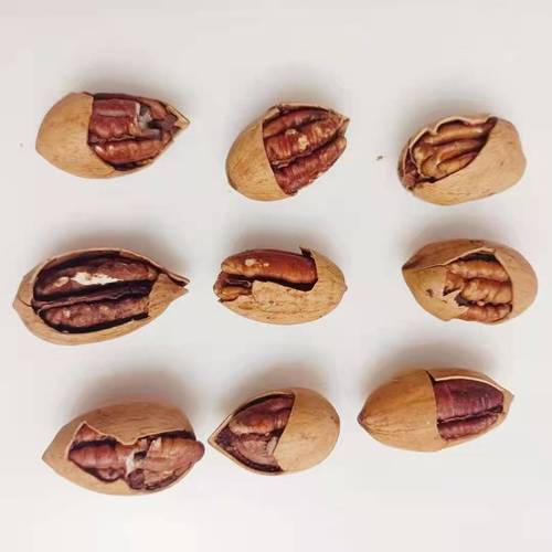 新货碧根果长寿果250克袋装薄壳坚果特产休闲零食小吃批发代发