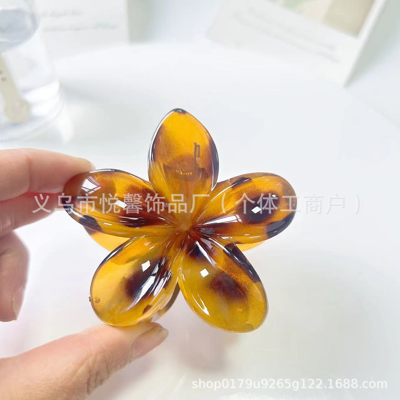 젤리 노란색 거북이 껍질