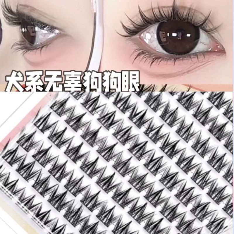 False Eyelashes Kit, Multi-Row Glue-Free & Glue Models, 6–20 Row Options, Tool Pack Available