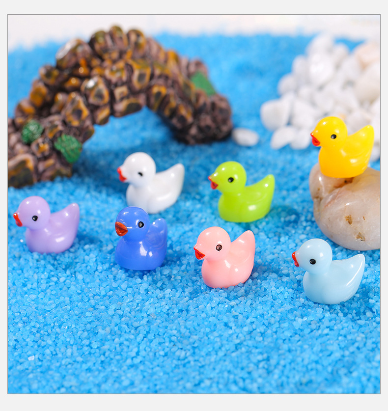 彩色小鸭_08