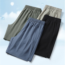 �����Sֱ�N��L-8XL�羳�����ٸɶ�ѝ��2026�¿��\�����ѝ���ļ�