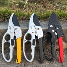 �@ˇ��֦������֦������@����֦�����û��@��֦���޼���֦����