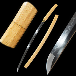 һ�w�ֹ��Ӻϵ���ľ�ʸ��������ձ���shirasayaδ�_��