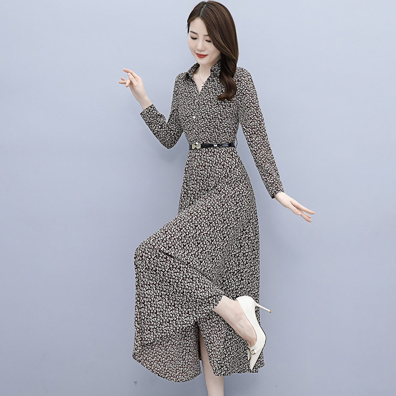 Shiffon long-sleeve