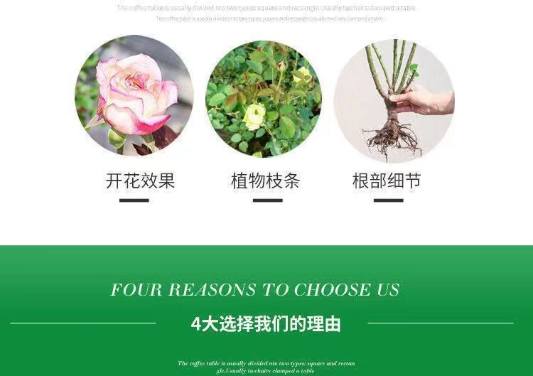 e3a21b36-5867-436f-a956-506306becee3.jpe