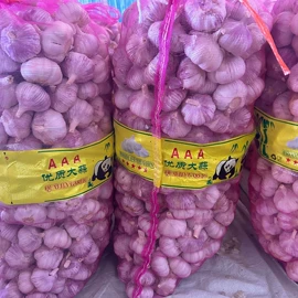 其他生物化工;工业植物提取;蒜