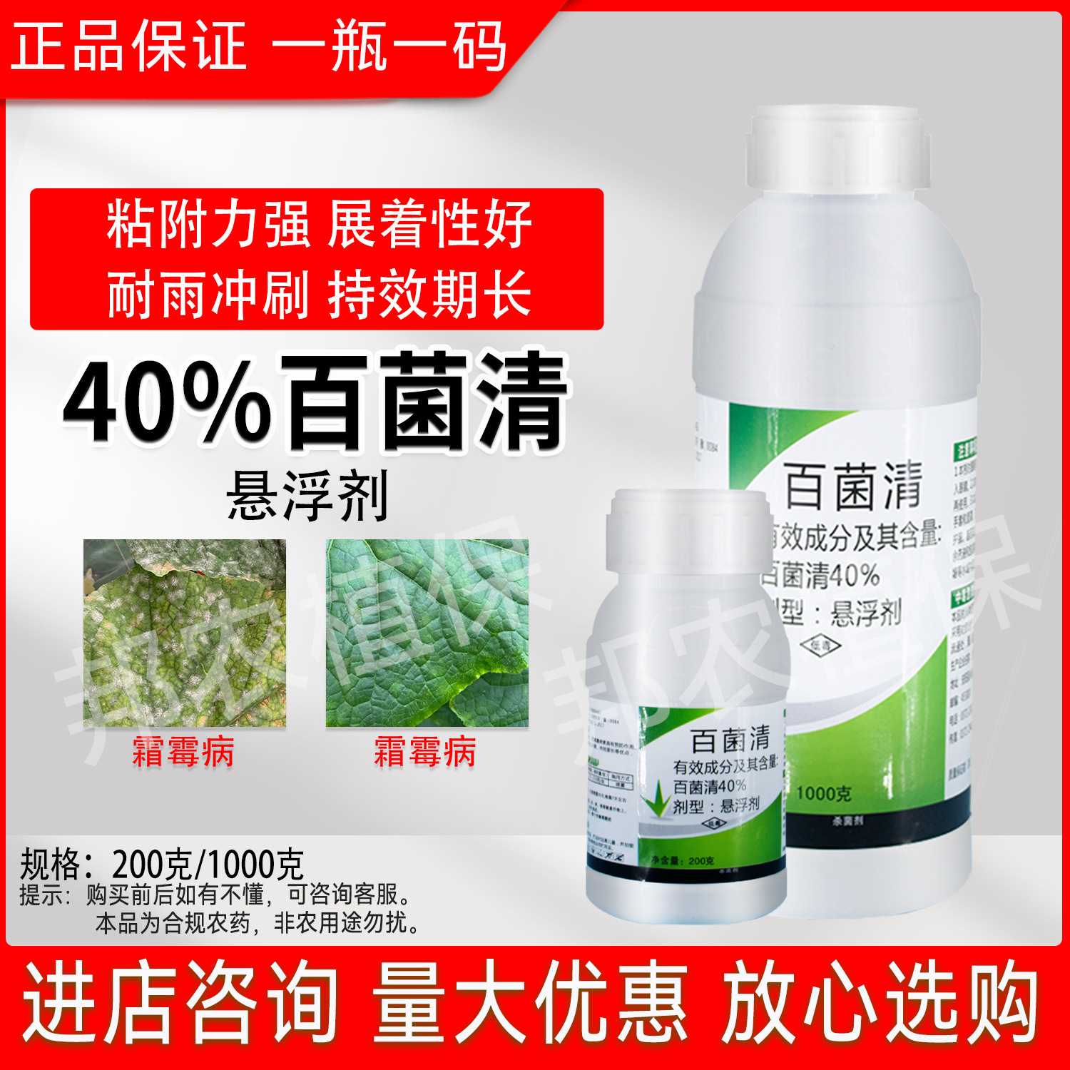 40%百菌清杀菌剂批发正品百菌清农药杀菌药番茄早疫病杀菌药