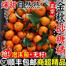 ����ɰ����С�������rˮ���Fժ��Ƥ�o���۽ۿ羳����朏S؛Դ���l