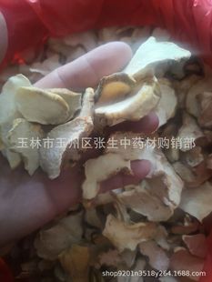 ��ș�� �S�� �S��Ƭ �S���� ���S��Ƭ �S���� ɽ�S�� ɢ�b500��