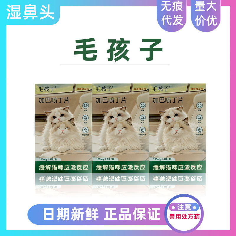 Gabapentin tablets for pets help relieve stress reactions caused by changes in the transport environment for cats
