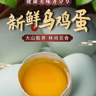 �G���x�ݞ��u�����g���r������ �r��ɢ�B�u�����l��1��10�����ң�