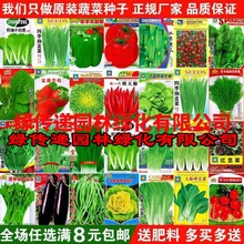 蔬菜种子四季播盆栽阳台庭院香菜青菜萝卜生菜小葱菠菜籽孑大全