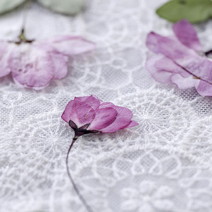 ���Ļ� �ɻ�����ֲ��˱�diy�ֹ����z�֙C����޹Ϟ�TϞѺ������