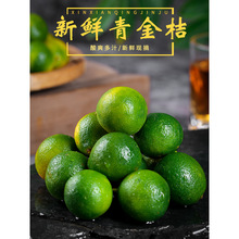 ����С������rˮ��5�����ۙ���С����̲��n����������]5