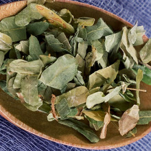 炒制鸡骨草茶相思叶 相思茶 鸡骨草叶一手货源供应 鸡骨草茶批发