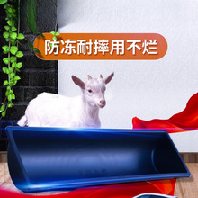 ���ʳ�������ϲ�ţ���ϲ���ˮ���ˮ�Z�ˮ������Bֳι��Ĳ���