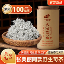 100克2025年新茶湖南张家界永顺美丽家原生态野生特级芽尖霉茶藤