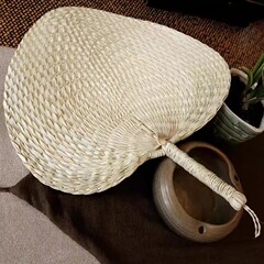 蒲扇老式手工编织夏季大扇子驱蚊芭蕉扇老人葵扇手工扇夏天儿童