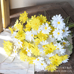 5�^С�r����ʾղ�˹�պ��m�շ��滨��Ұ�ջ�c�Ҿ��b[������