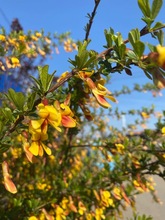 |ͺȸ\u \uСľɳͺƷN