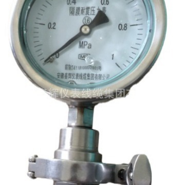 供应YMLN隔膜式耐振压力表YMLN-150