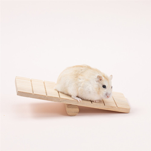 eBay Amazon AliExpress hamster parrot bird cat dog wooden small toys chewing