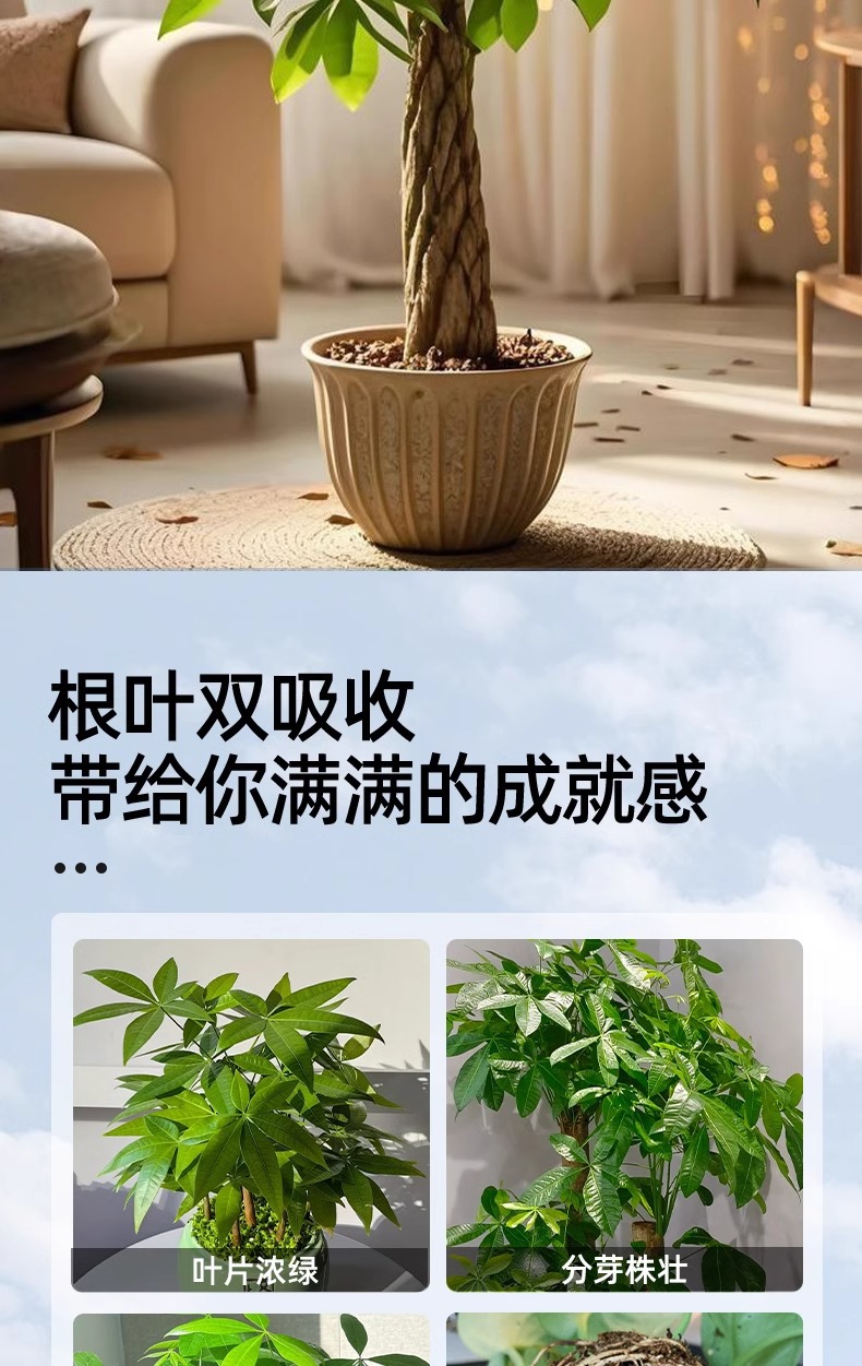 详情图