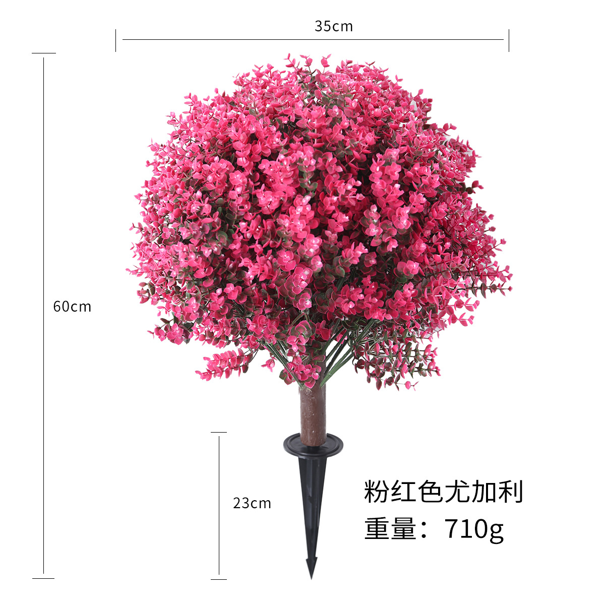 Eugali rosa (intercalado en el suelo)