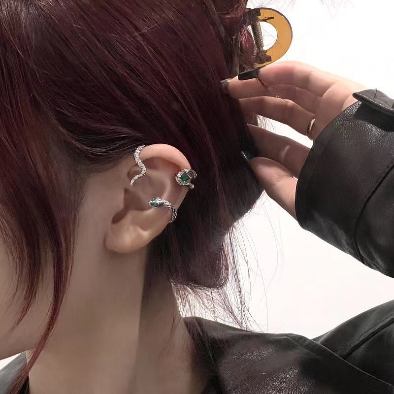 Small design ear clips