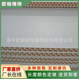 自建房墙板商用石塑板高分子纳米板 家用集成墙板pvc生产线供应