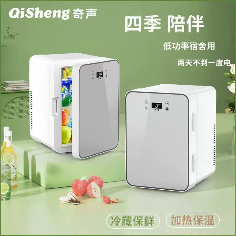 车载迷你小冰箱宿舍出租房小型母乳单人用冷藏箱车家两用