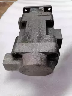 YB-D100/50,YB-D100/40,YB-D100/31.5,双联叶片泵