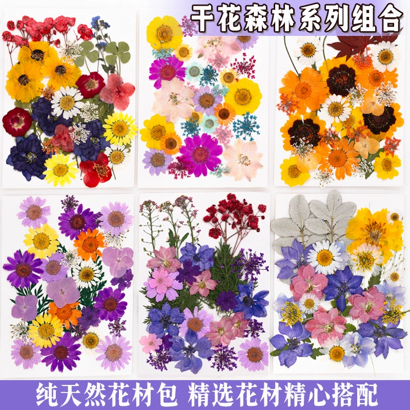 Листья образец растений детский сад наклейки ручной работы DIY сушеные цветы тисненые наклейки лицо декоративный цветок макияж фото сарай цветы