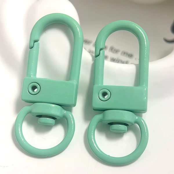 Door buckle-mint green