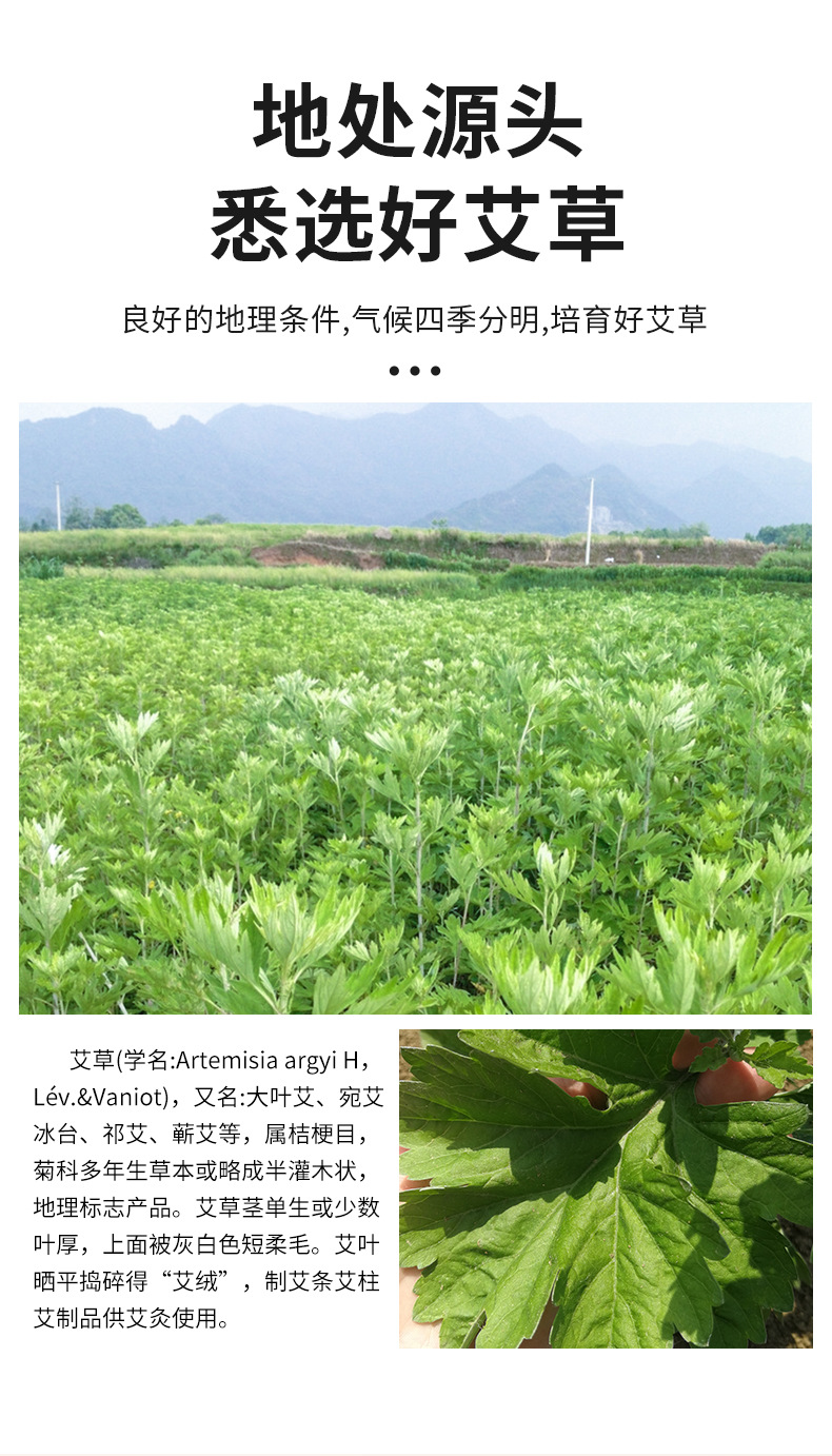 Yunnan Herbal Foot Soak Balls Ai Ye Hong Hua Lao Jiang Hua Jiao 10 Balls per Box Warm Foot Bath Soak overview
