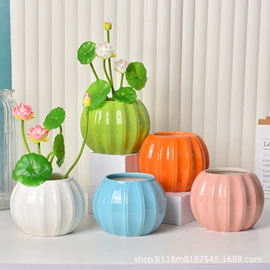 花盆容器;花盆装饰;陶瓷工艺品