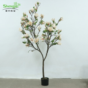��c�������m�����滨�䷿�g�bٻ����҃��쾰�������m���ٻ���