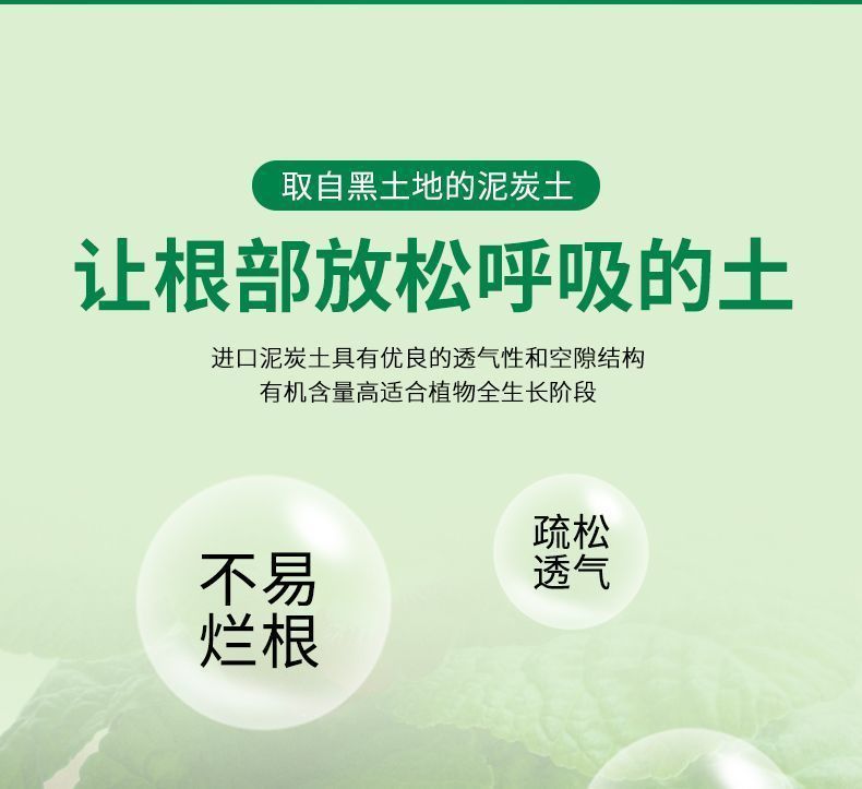 1a70af2a-e868-4125-960f-a639eae13d58.jpe