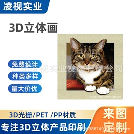 塑料印刷;工艺画;纸类印刷