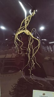 ���z����ɽ���صȖ|���˅�ɽ�������ݾ��Ҝ� ��֧����