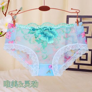 �F؛���l���ޱ�Ї��L��s�������m͸��r�д̽����ԃ���ѝ804