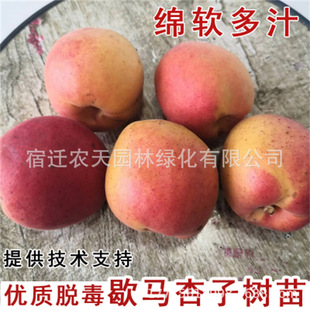 һ�����l�Ә����ش�����������������Ϸ������Nֲ���Ե��Թ�����