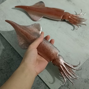 PVC simulation food dishes play aquatic seafood model fake squid export creative catering live shooting props