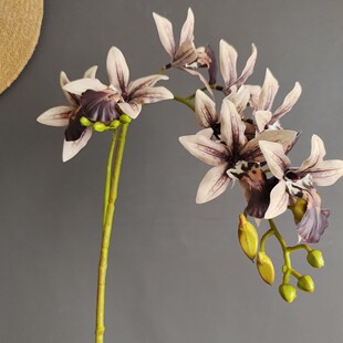 ���滨�W�t������ɫϵ��ȸ�m����؛Դ�Ҿӻ�c�Ʒ���ֶY�b����l