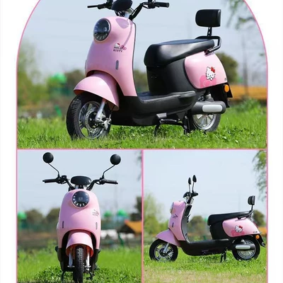 Cross-Border Supply to Southeast Asia – Elektrikli motosikletlər