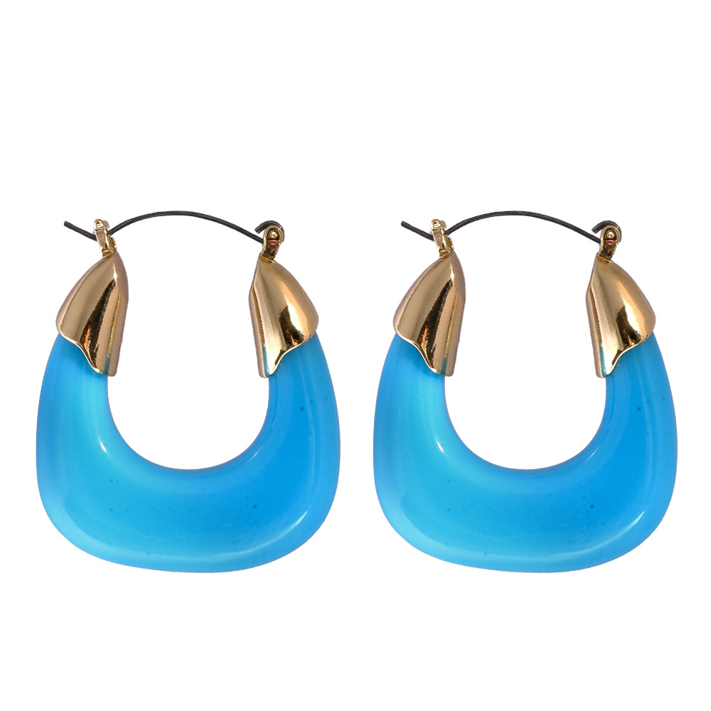Exaggerated Transparent Resin U-shaped Earrings display picture 8
